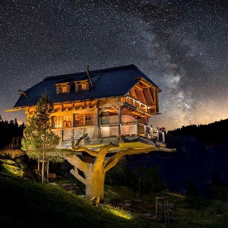 Wellnesshotel Tanne Baiersbronn Esterno foto